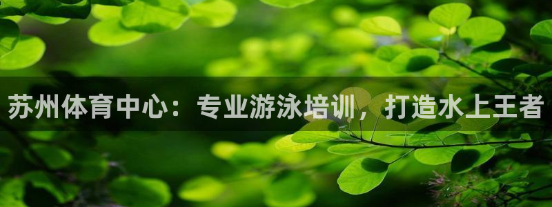 极悦益生菌猫粮怎么样：苏州体育中心：专业游泳培训，打