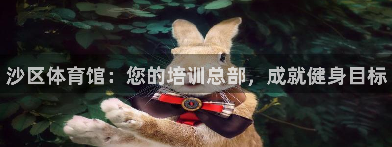 极悦官网下载最新版本更新内容视频：沙区体育馆：您的培训总部，