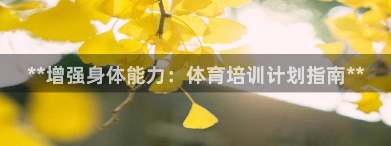 极悦平台注册流程图：**增强身体能力：体育培训计划指