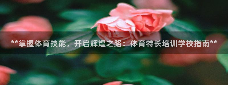 极悦娱乐负责人是谁：**掌握体育技能，开启辉煌之路：