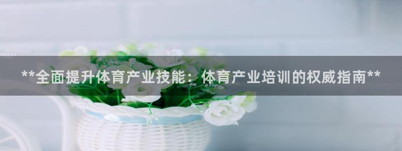 极悦平台注册流程图片：**全面提升体育产业技能：体育