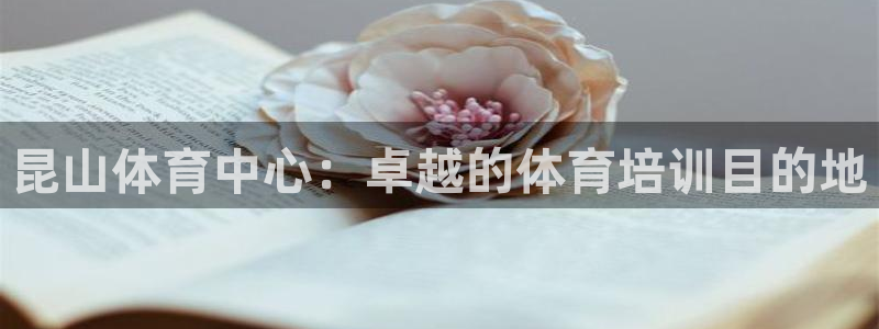 极悦平台客服团队怎么样：昆山体育中心：卓越的体育培训目的地