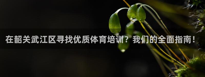 极悦平台注册用户名验证码是什么：在韶关武江区寻找优质体育培训