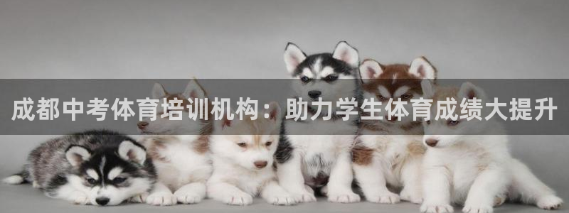 舒客极悦牙膏