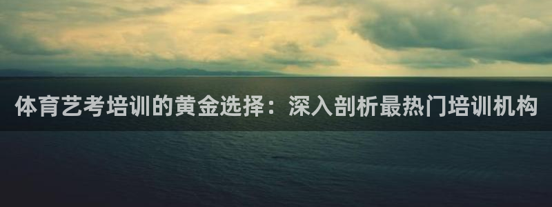 极悦生活家是什么平台：体育艺考培训的黄金选择：深入剖