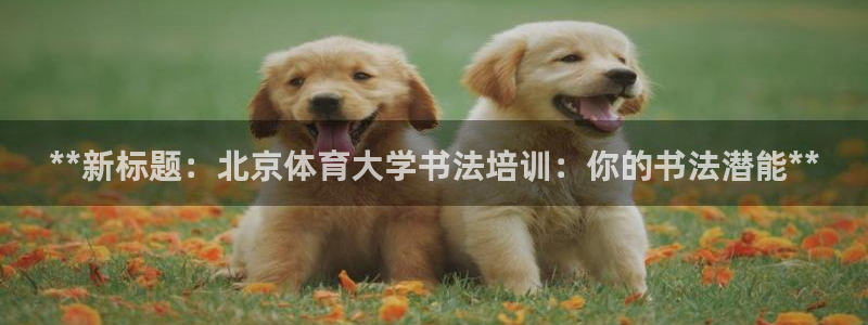 极悦平台注册官方网站下载：**新标题：北京体育大学书