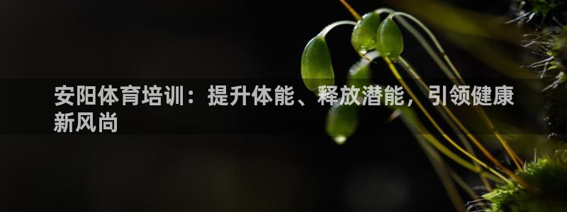 极悦牙膏好吗：安阳体育培训：提升体能、释放潜能，引领