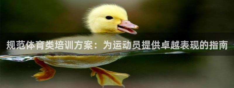 极悦平台用户反馈和反馈的区别：规范体育类培训方案：为