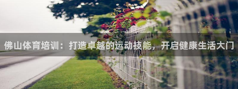 极悦娱乐官网app下载安装：佛山体育培训：打造卓越的