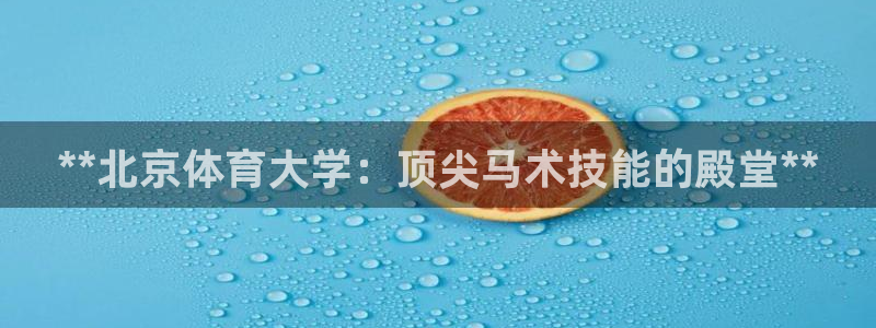 极悦牙膏怎么样知乎：**北京体育大学：顶尖马术技能的