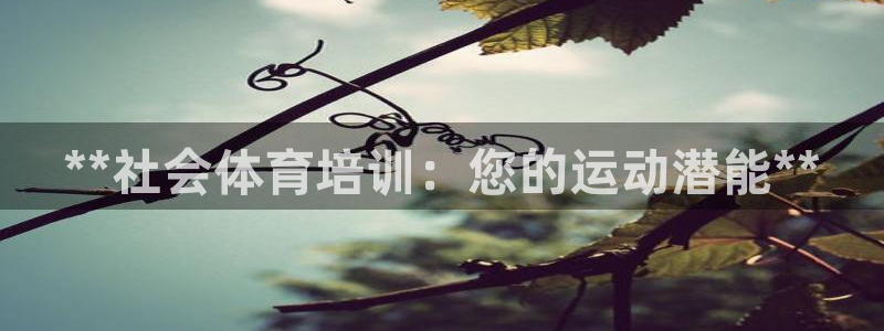 极悦平台官方网站首页下载：**社会体育培训：您的运动