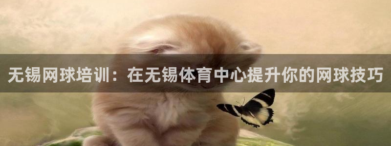 极悦平台用户评价与反馈怎么设置：无锡网球培训：在无锡