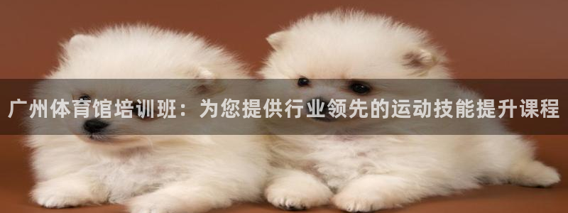 极悦平台登录方式怎么改：广州体育馆培训班：为您提供行