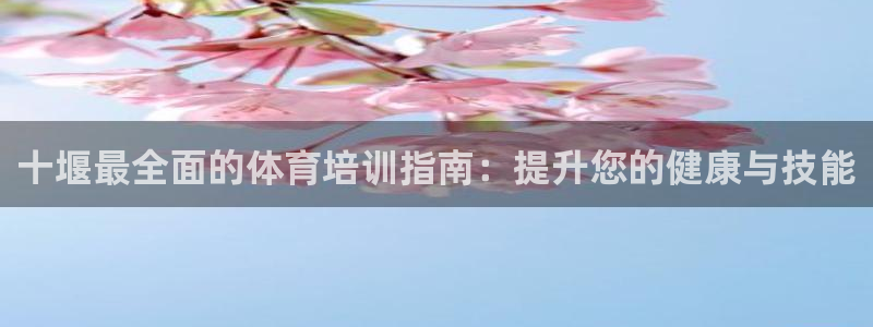 极悦平台app二维码怎么弄到桌面：十堰最全面的体育培