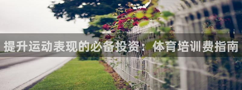 极悦平台股东名单：提升运动表现的必备投资：体育培训费
