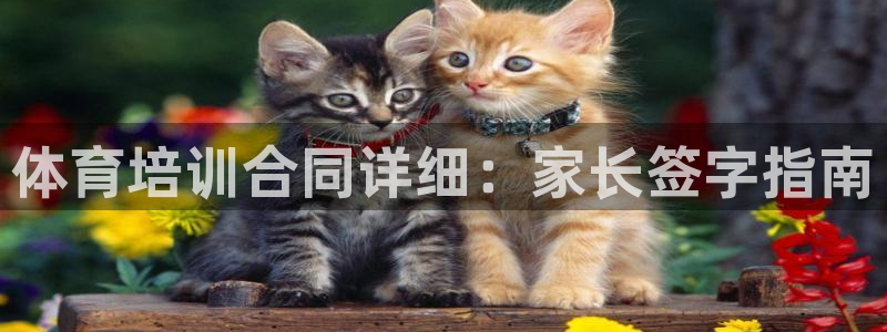 极悦娱乐登录拒绝访问怎么办：体育培训合同详细：家长签