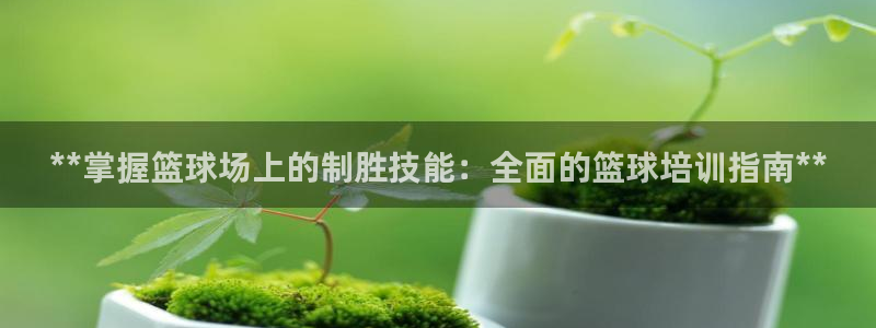 极悦平台用户评价怎么样