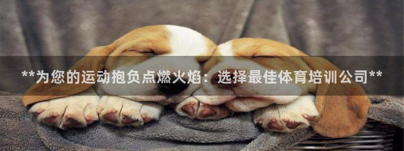 极悦平台注册：**为您的运动抱负点燃火焰：选择最佳体