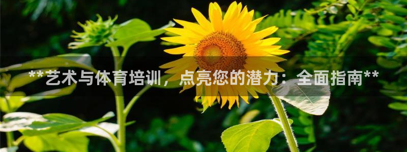 极悦娱乐官网app下载安装：**艺术与体育培训，点亮