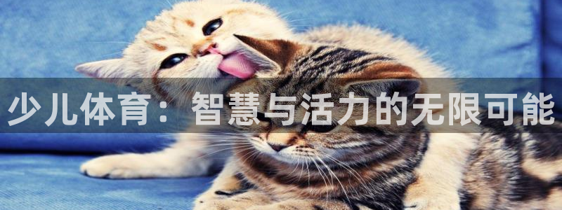 极悦娱乐登录拒绝访问怎么办啊
