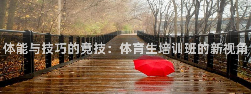 极悦平台是干嘛的公司