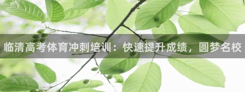 极悦平台股东名单：临清高考体育冲刺培训：快速提升成绩，圆梦名