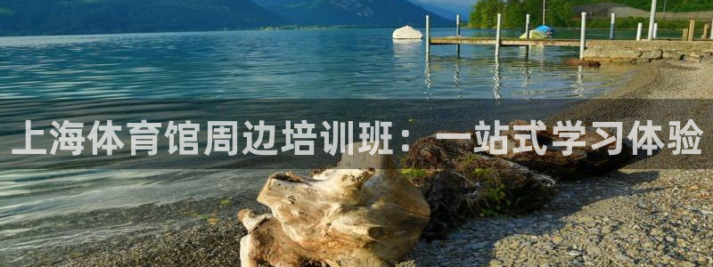 极悦平台官网登录网址是什么：上海体育馆周边培训班：一