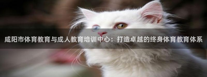 极悦娱乐登录拒绝访问怎么办理：咸阳市体育教育与成人教