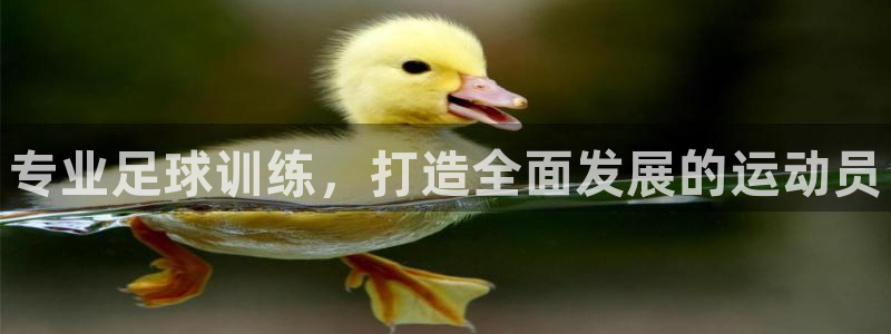 极悦官方网站：专业足球训练，打造全面发展的运动员