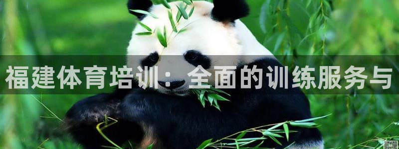 极悦娱乐公司最新招聘信息：福建体育培训：全面的训练服