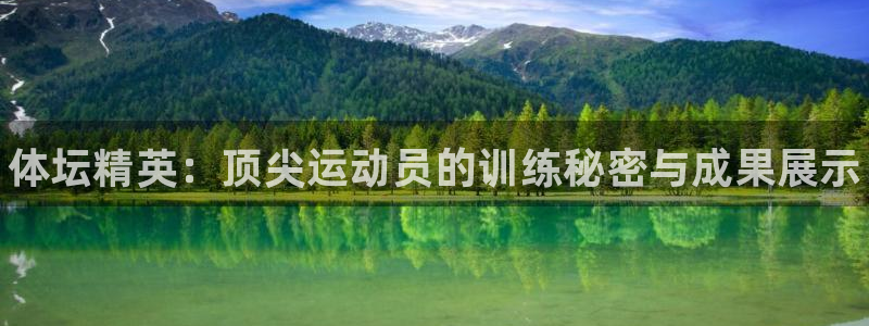 极悦官方网站入口网址是多少