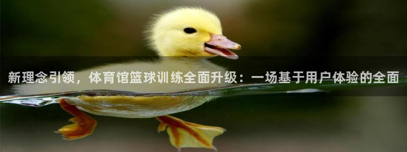 极悦平台app二维码怎么弄