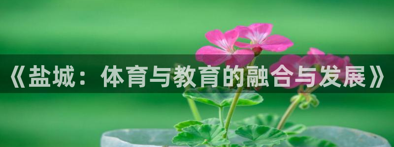 极悦娱乐负责人怎么样：《盐城：体育与教育的融合与发展》