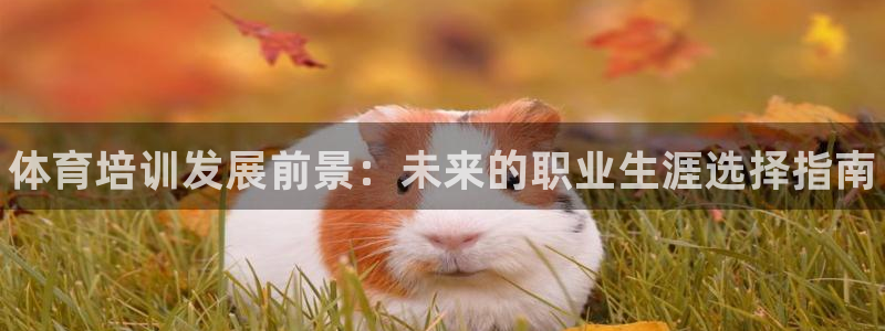 极悦平台官方网站首页下载