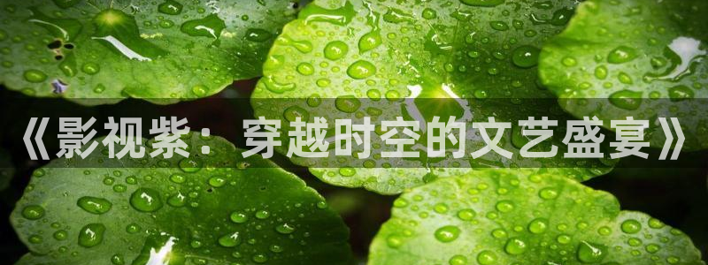 熊猫视频网