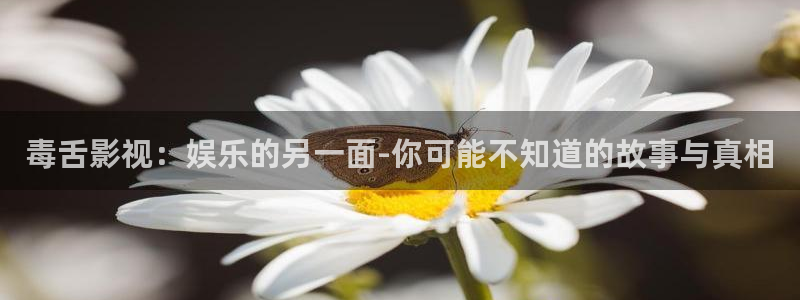 熊猫电视图片