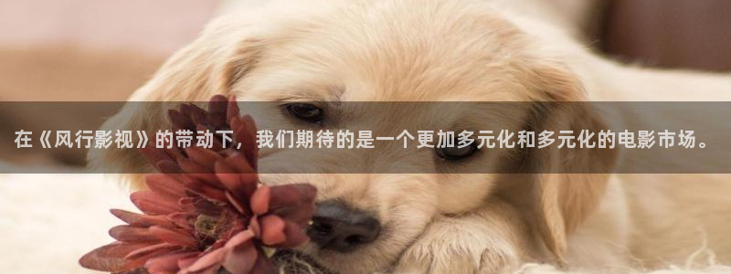 关于熊猫的电影