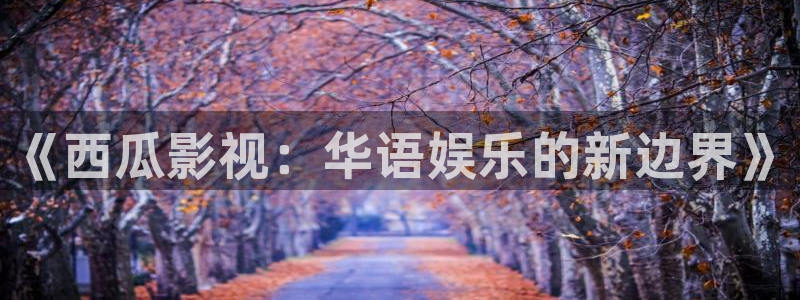 北京熊猫电视