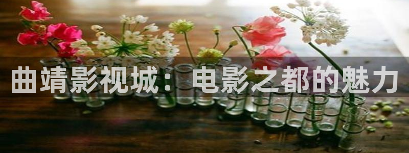 熊猫影视在线观看免费版高清