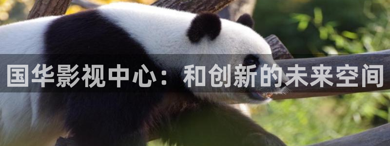 熊猫影视