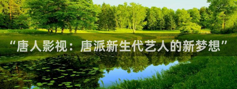 熊猫影视.