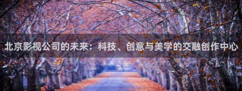 关于熊猫的