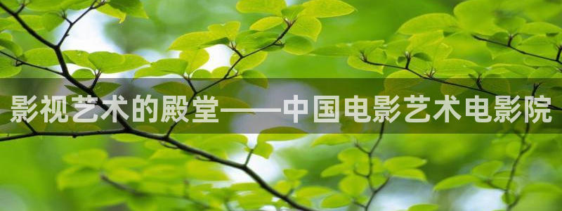 熊猫电视图片