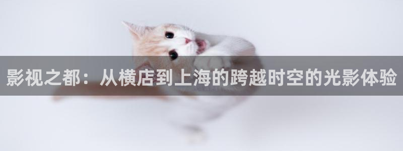 熊猫影视免费观看