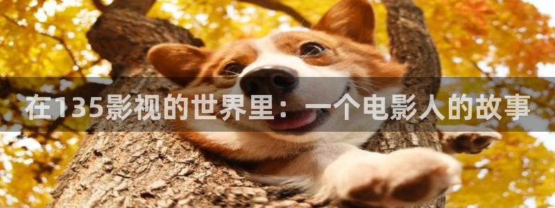 熊猫成人影院
