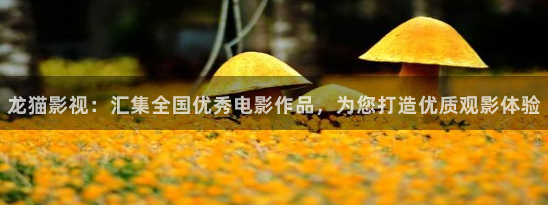 熊猫影院免费下载
