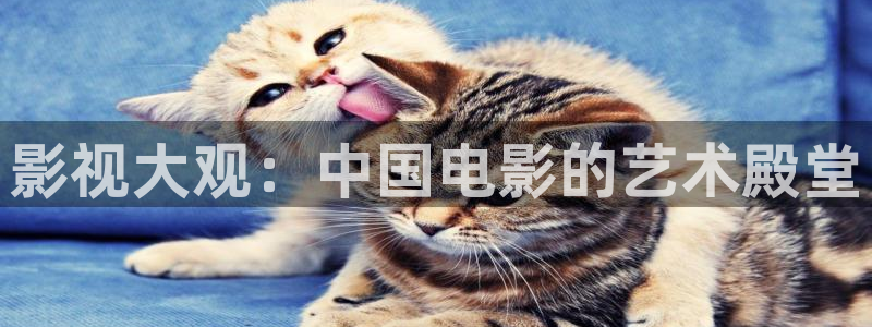 熊猫电影