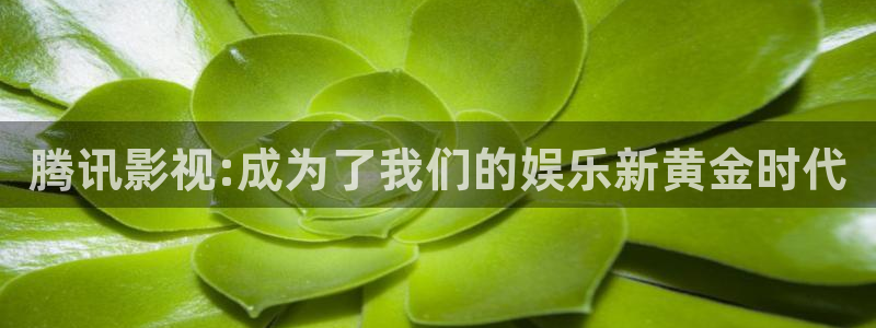 熊猫大侠电影在线观看