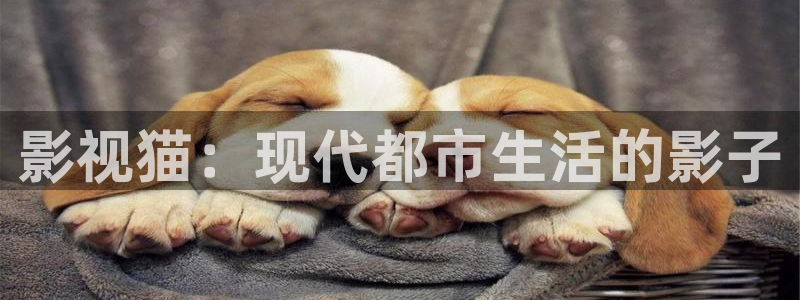 熊猫影院6.5.8