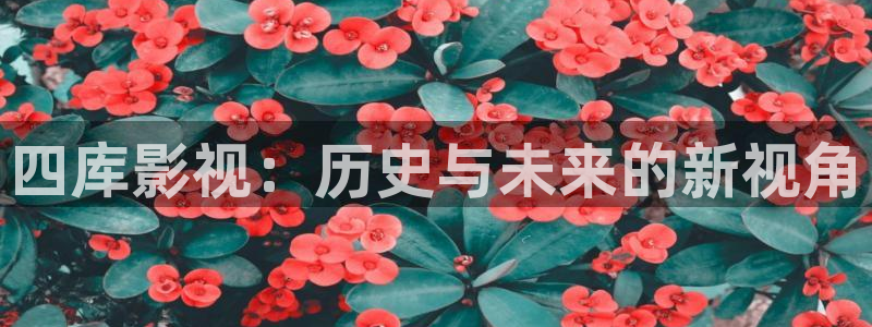 熊猫看电影